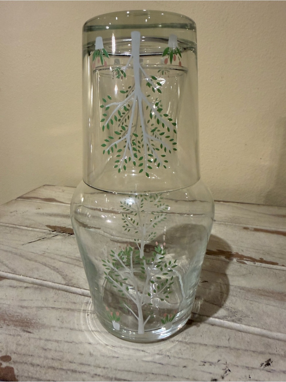 Vintage Alpac France Birch Tree Glass Bedside Carafe & Tumbler Set